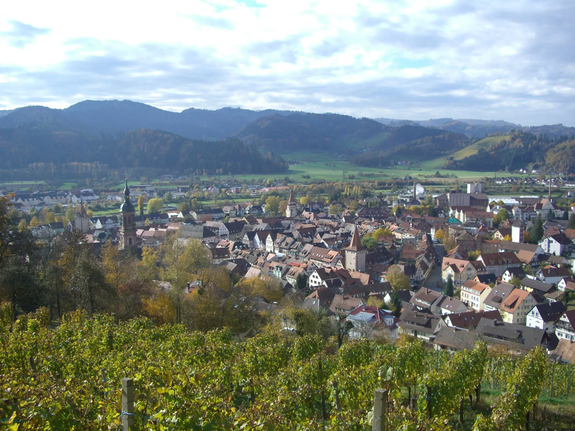 Quelle: pixabay.com / gemeinfrei Blick auf die Stadt Gengenbach
