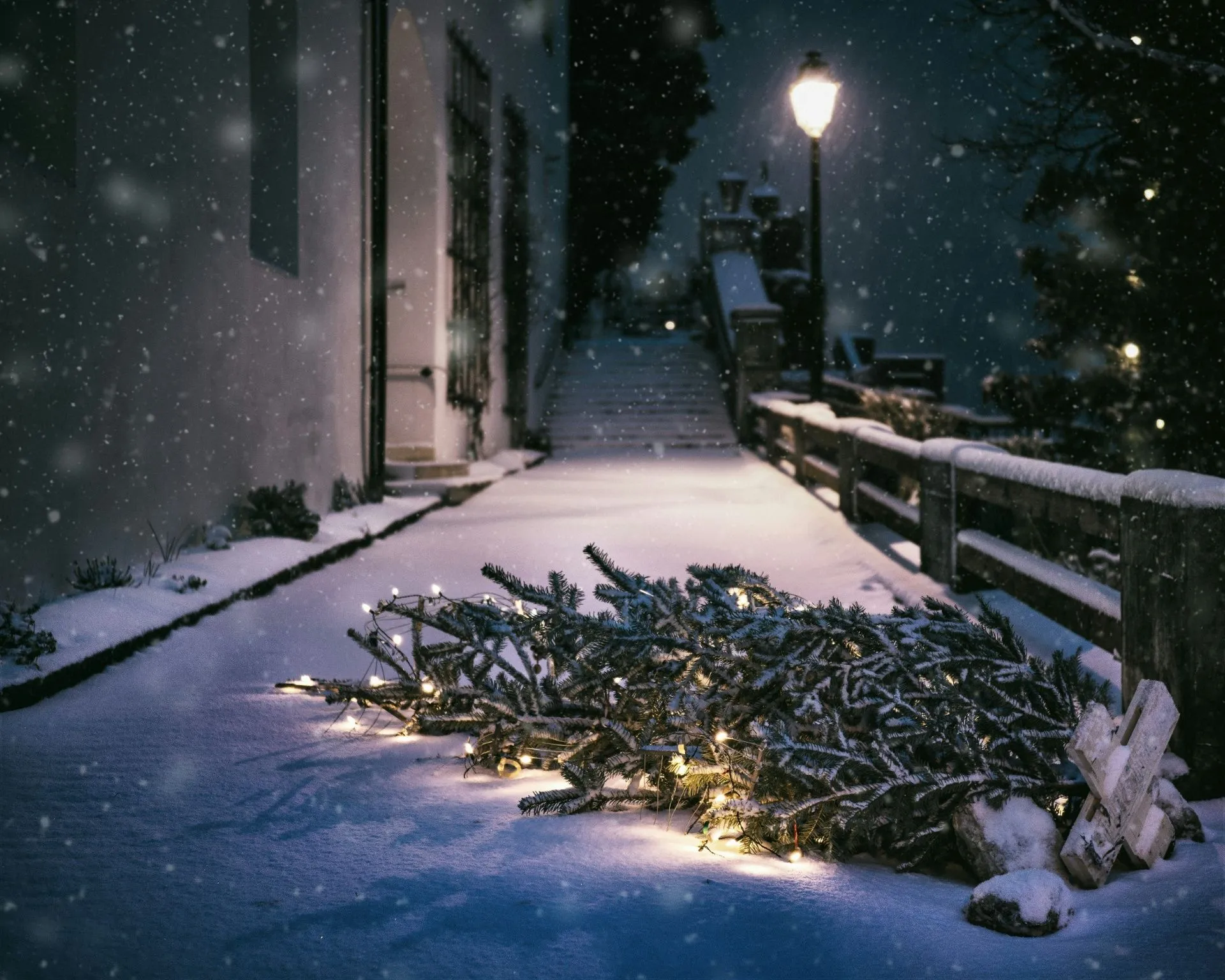 Tannenbaum mit Kerzen liegt im Schnee