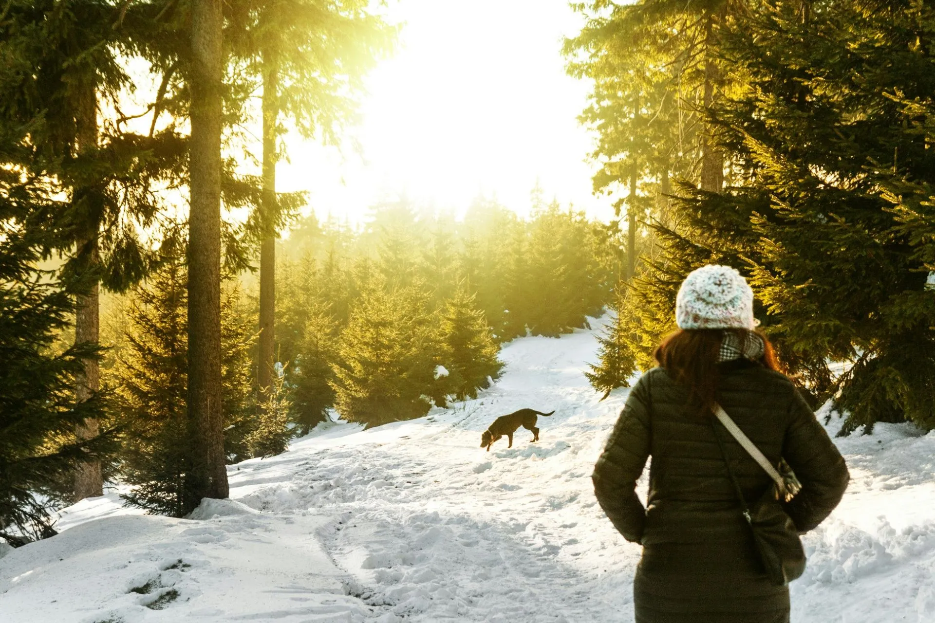 Person im Wald schaut auf Hund, Boden schneebedeckt, Wintersonne