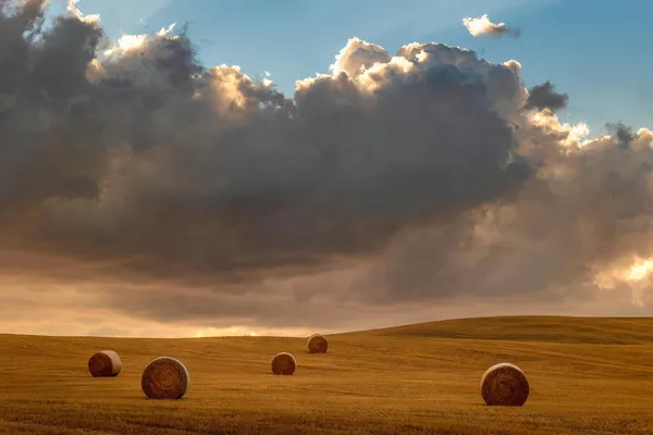 Quelle: Samuele Bertoli/Unsplash Abgeerntetes Feld mit Heuballen und stark bewölktem Himmel