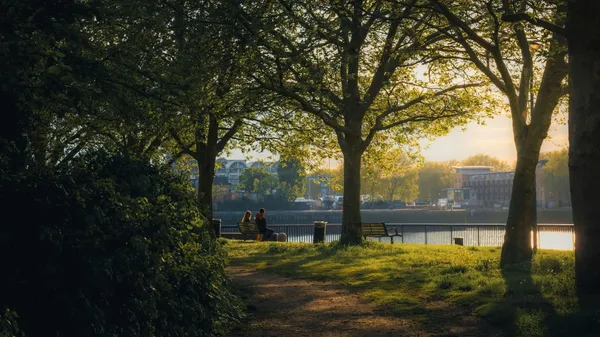 Quelle: Alexander LOndon/Unsplash Baumallee mit Bänken