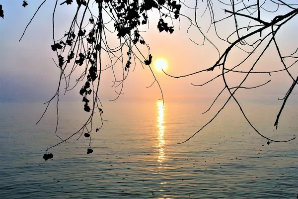 Bodensee im Morgenlicht