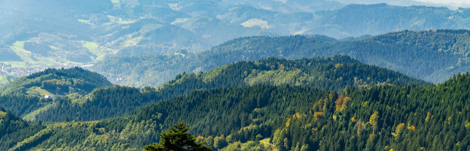 Panorama-Blick über den Schwarzwald
