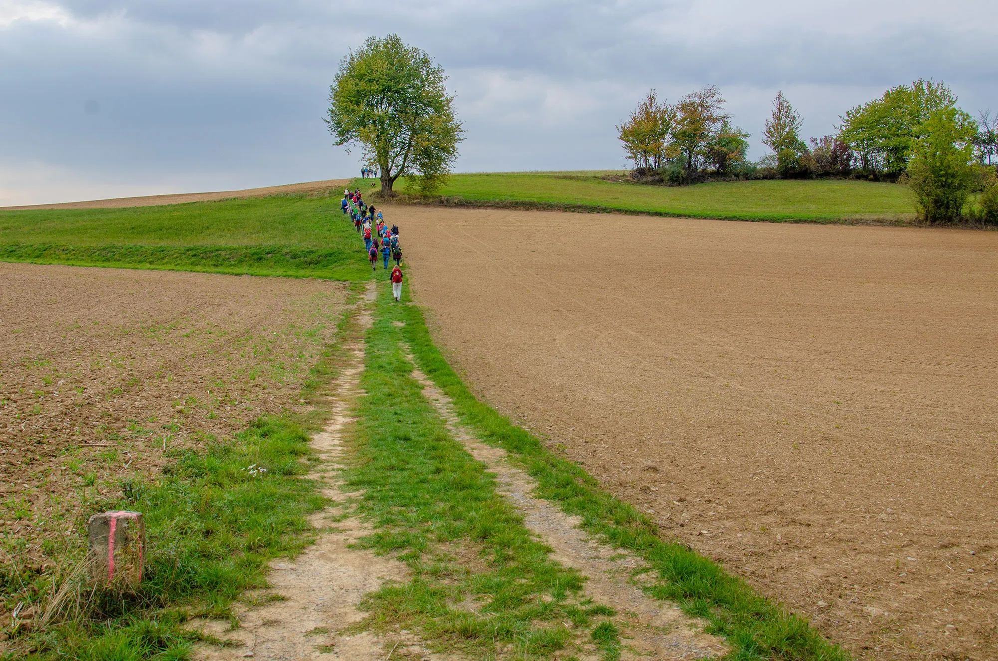 Pilgergruppe im Odenwald