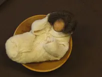 Erzählfigur Baby - Jesus