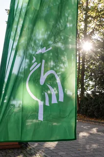 Grüner Gockel Beachflag
